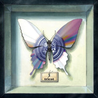 tricot - 3 - Paper White Clear Blue Color Vinyl 180g * rockit-t-shirts.myshopify.com #Indie_Vinyl_Den#