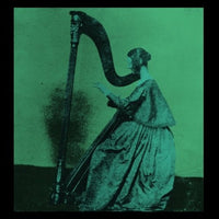 TV Girl - Grapes Upon The Vine - Vinyl Record - Indie Vinyl Den