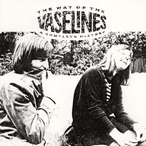 Vaselines - The Way of the Vaselines - Vinyl Record