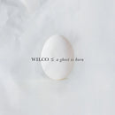 Wilco - A Ghost Is Born - 2LP Vinyl Record - Indie Vinyl Den