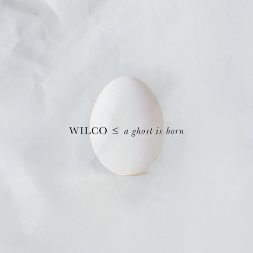 Wilco - A Ghost Is Born - 2LP Vinyl Record - Indie Vinyl Den