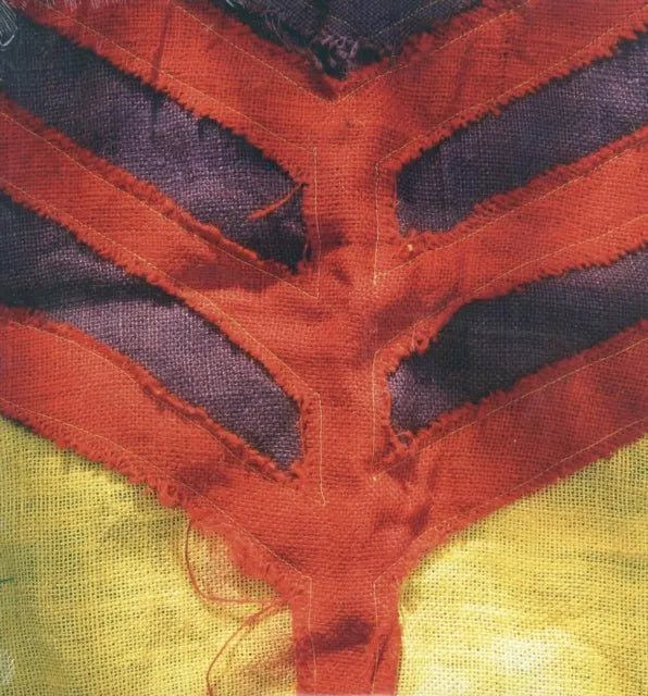 Yeah Yeah Yeahs  - Show Your Bones - Vinyl Record *