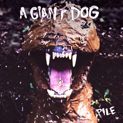 A Giant Dog - Pile - Vinyl Record LP - Indie Vinyl Den