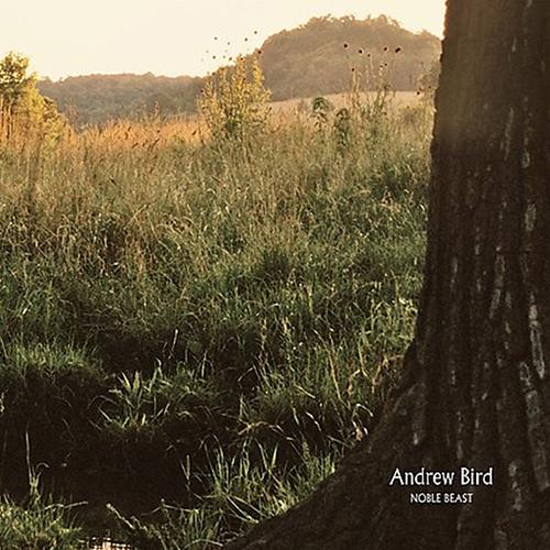 Andrew Bird - Noble Beast - (2LP) Vinyl Record - Indie Vinyl Den