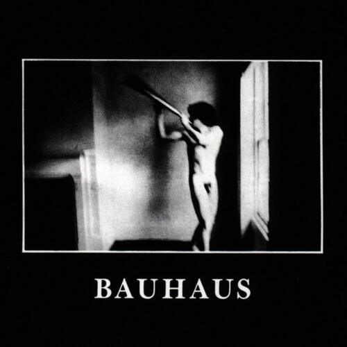 Bauhaus - In The Flat Field - Bronze Color Vinyl Record - Indie Vinyl Den