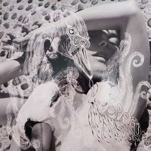 Björk - Vespertine - Vinyl Record - Indie Vinyl Den