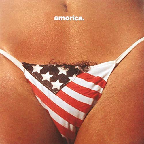 Black Crowes - Amorica - Vinyl Record 2LP - Indie Vinyl Den