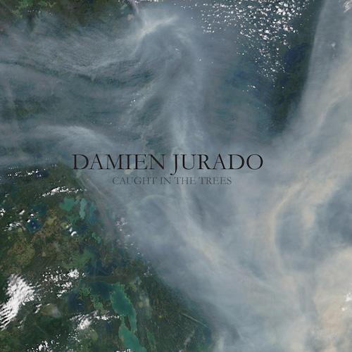 Damien Jurado - Caught In The Trees Vinyl Record 