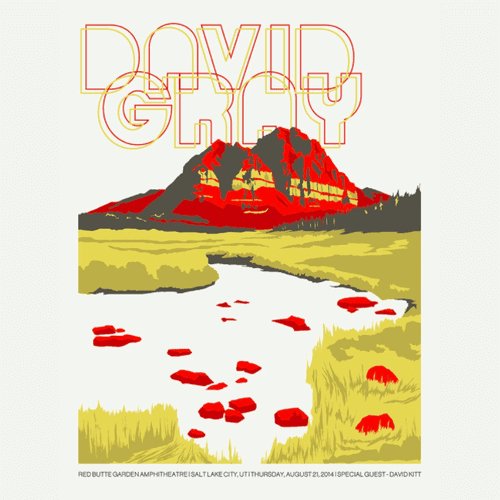 DAVID GRAY - 2014 Salt Lake City Gig Poster  (5267183861917)