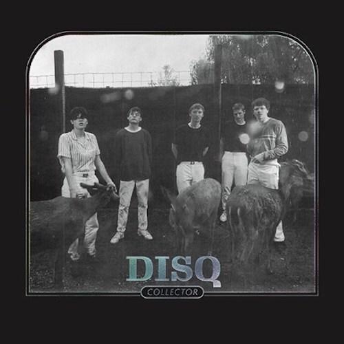 Disq - Collector - Vinyl Record - Indie Vinyl Den