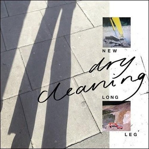 Dry Cleaning - New Long Leg Vinyl Record - Indie Vinyl Den