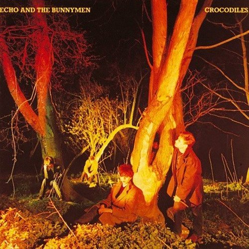 Echo And The Bunnymen - Crocodiles - Vinyl Record