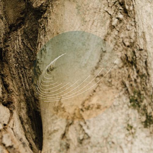 Field Works - Maples, Ash, and Oaks: Cedars Instrumentals [Limited Edition Iridescent Mother of Pearl w/ Green Undertone Color Vinyl Record - Indie Vinyl Den