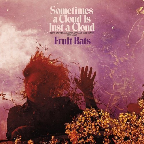 Fruit Bats - Sometimes a Cloud Is Just a Cloud - Pink-in-Violent Color Vinyl Record - Indie Vinyl Den
