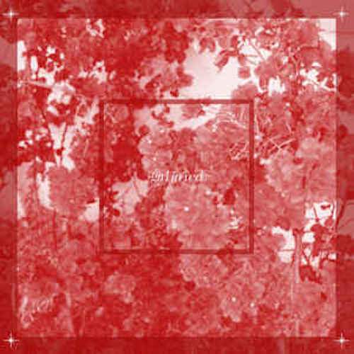 Girl In Red ‎– Beginnings [Limited Edition Red Color Vinyl] - Indie Vinyl Den