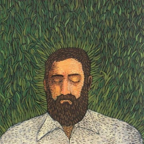 Iron and Wine- Our Endless Numbered Days Vinyl Record - Indie Vinyl Den