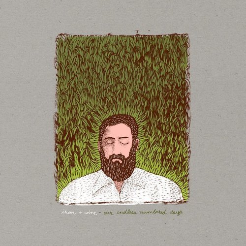 Iron & Wine Our Endless Numbered Days Deluxe Vinyl Record - Indie Vinyl Den