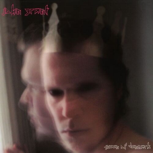 John Grant - Queen Of Denmark - Pink Color Vinyl Record Import - Indie Vinyl Den