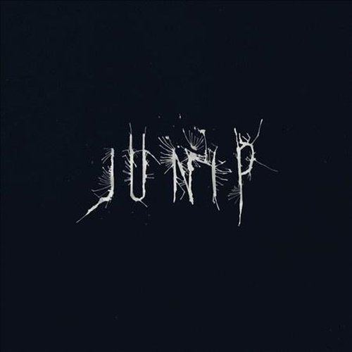 Junip - Junip - Vinyl Record - Indie Vinyl Den