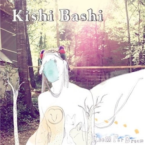 Kishi Bashi - Room For Dream EP - 10" CLEAR Color Vinyl Record - Indie Vinyl Den