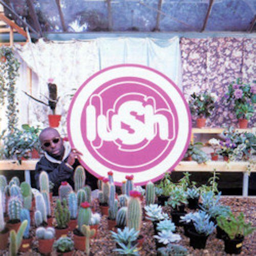 Lush - Lovelife 2023 Remaster - Clear Color Vinyl - Indie Vinyl Den
