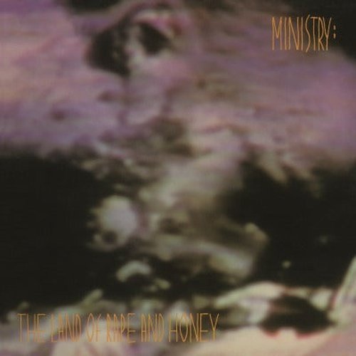 Ministry - Land of Rape and Honey - Vinyl Record LP 180g Import - Indie Vinyl Den