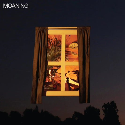 Moaning - Moaning - Vinyl Record - Indie Vinyl Den