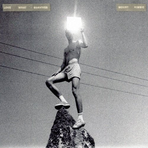 Mount Kimbie - Love What Survives - Vinyl Record - Indie Vinyl Den