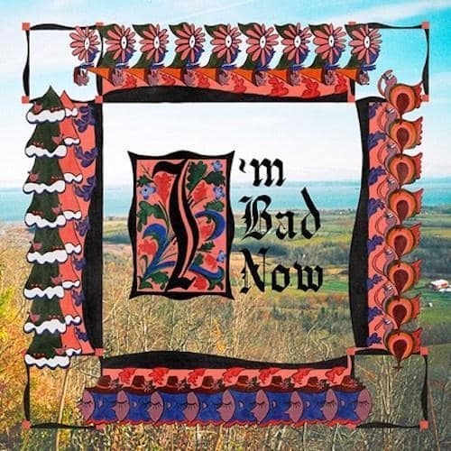 Nap Eyes - I'm Bad Now [Pink Color Vinyl Record] - Indie Vinyl Den