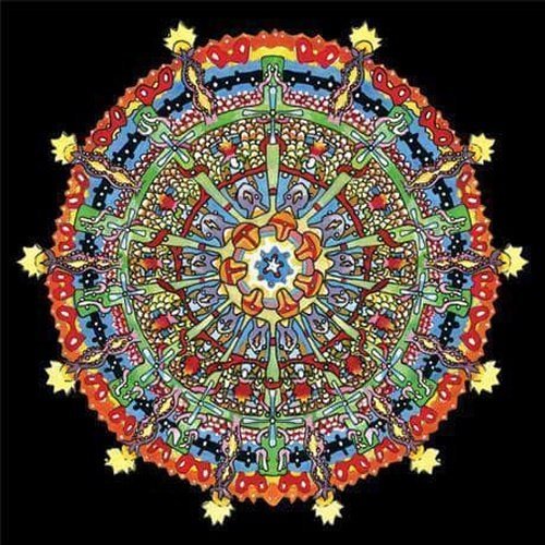 of Montreal - Hissing Fauna, Are You the Destroyer? [2xLP 180-Gram Red/Yellow Color Vinyl] - Indie Vinyl Den