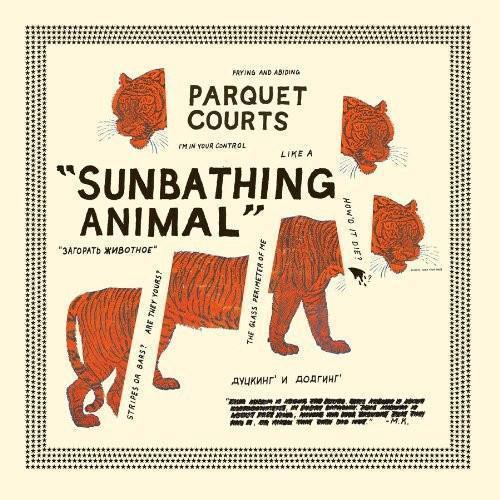 Parquet Courts - Sunbathing Animal Vinyl Record - Indie Vinyl Den