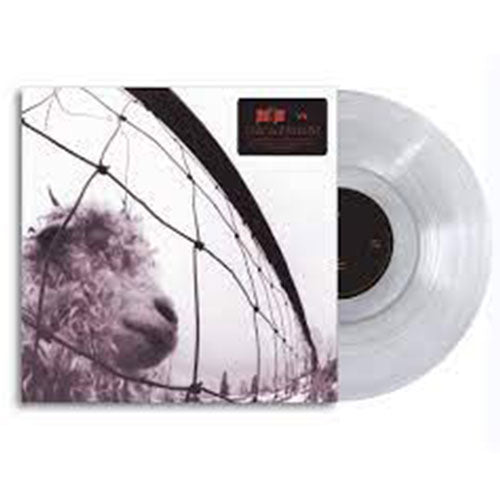 Pearl Jam - VS. - 30th Anniversary Clear Color Vinyl Record - Indie Vinyl Den