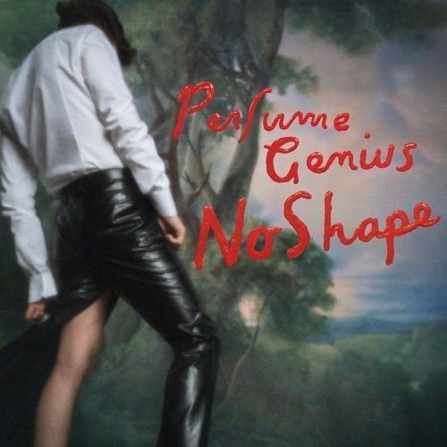Perfume Genius - No Shape Vinyl Record - Indie Vinyl Den