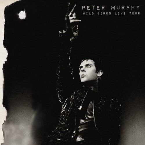 Peter Murphy - Wild Birds Live Tour - Purple & Black Color Vinyl Record 2LP - Indie Vinyl Den