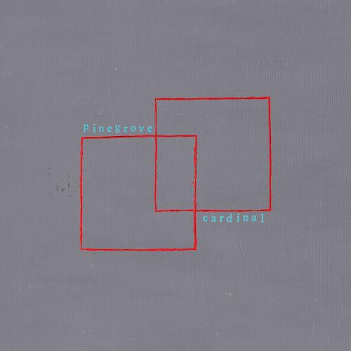 Pinegrove - Cardinal Vinyl Record - Indie Vinyl Den
