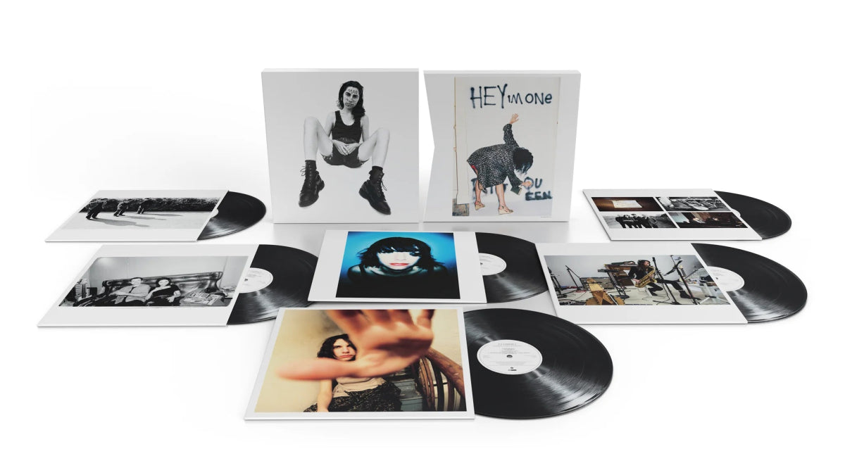 PJ Harvey - B-Sides, Demos & Rarities - 6LP Vinyl Box Set 180g Import - Indie Vinyl Den