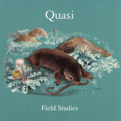 Quasi - Field Studies - Vinyl Record Import 2LP - Indie Vinyl Den