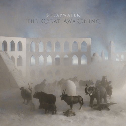 Shearwater - The Great Awakening - Vinyl Record 2LP - Indie Vinyl Den