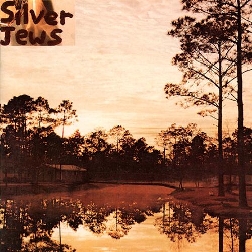 Silver Jews - Starlite Walker - Vinyl Record - Indie Vinyl Den