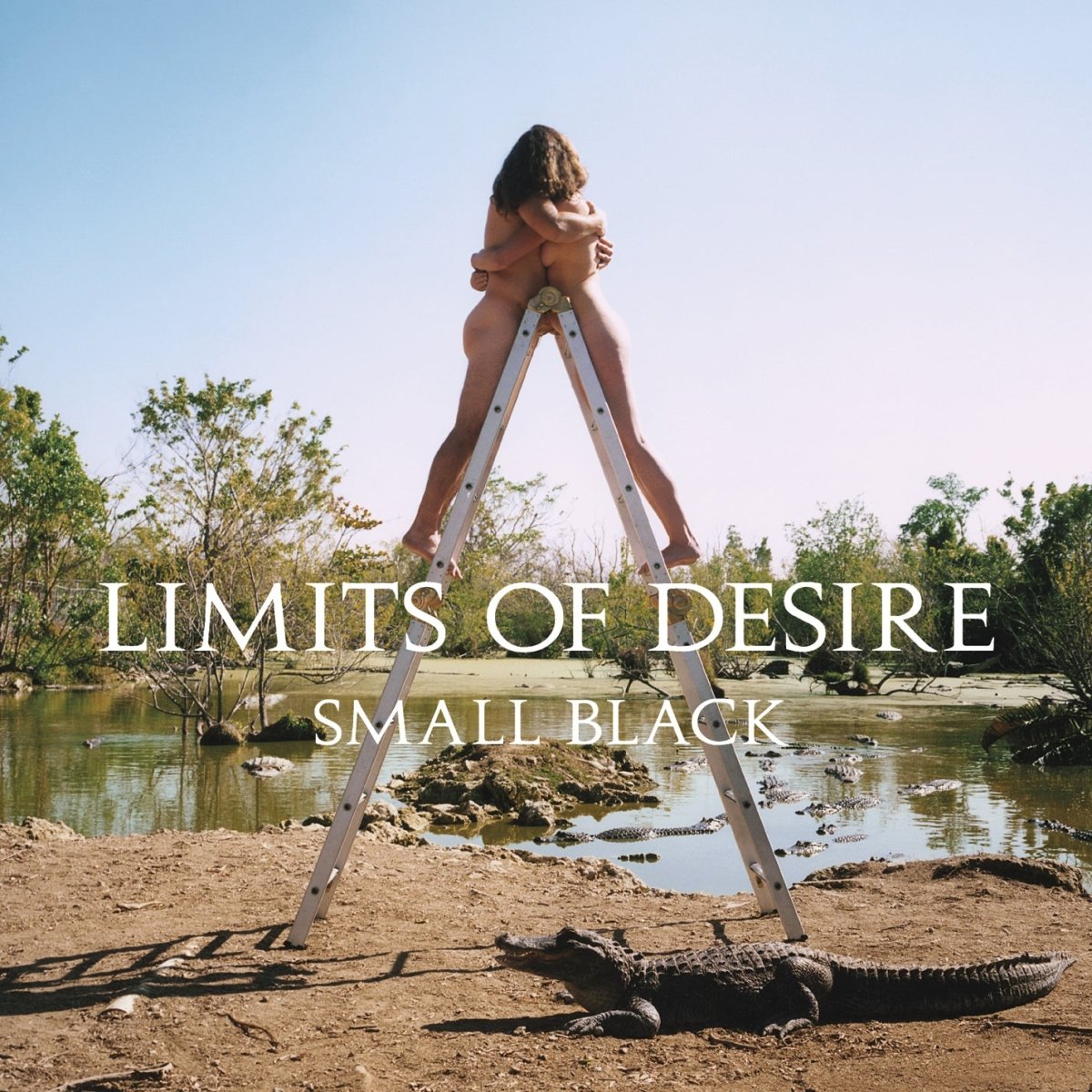 Small Black - Limits of Desire (10th Anniversary Edition) - Coke Bottle Clear Vinyl - Indie Vinyl Den