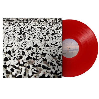 Stella Donnelly - Flood - Opaque Red Color Vinyl Record - Indie Vinyl Den