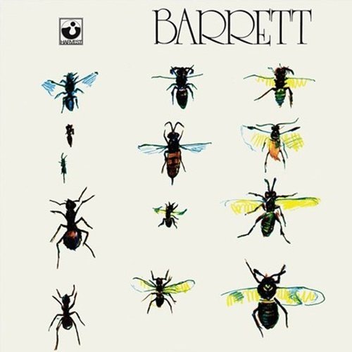 Syd Barrett - Barrett - Vinyl Record 180g Import - Indie Vinyl Den