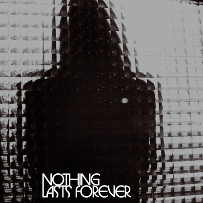 Teenage Fanclub - Nothing Lasts Forever - Peak Vinyl Silver & Black Mix Color Vinyl - Indie Vinyl Den