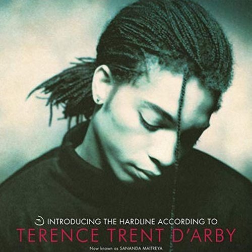 Terence Trent D'arby - Hardline According To... - Vinyl Record LP - Indie Vinyl Den