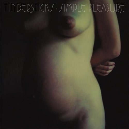 Tindersticks - Simple Pleasure - Vinyl Record 180g Import - Indie Vinyl Den