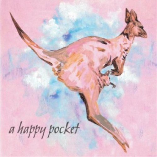 Trashcan Sinatras - A Happy Pocket - Pink Color Vinyl 2LP - Indie Vinyl Den