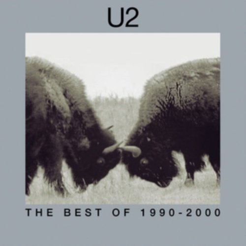 U2 - The Best Of 1990-2000 - Vinyl Record 2LP - Indie Vinyl Den