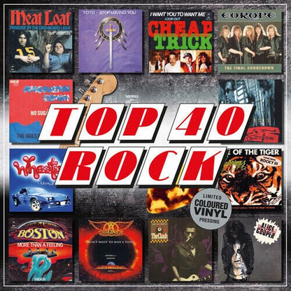 Various Artists - Top 40 Rock - Grey Color Vinyl Record - Indie Vinyl Den