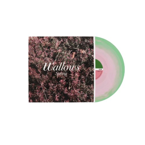 Wallows - Spring - Pink & Green Color Vinyl Record LP - Indie Vinyl Den