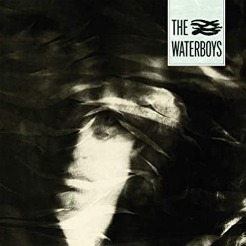 Waterboys - The Waterboys Vinyl Record (2002 Digital Remaster 180g Vinyl) - Indie Vinyl Den